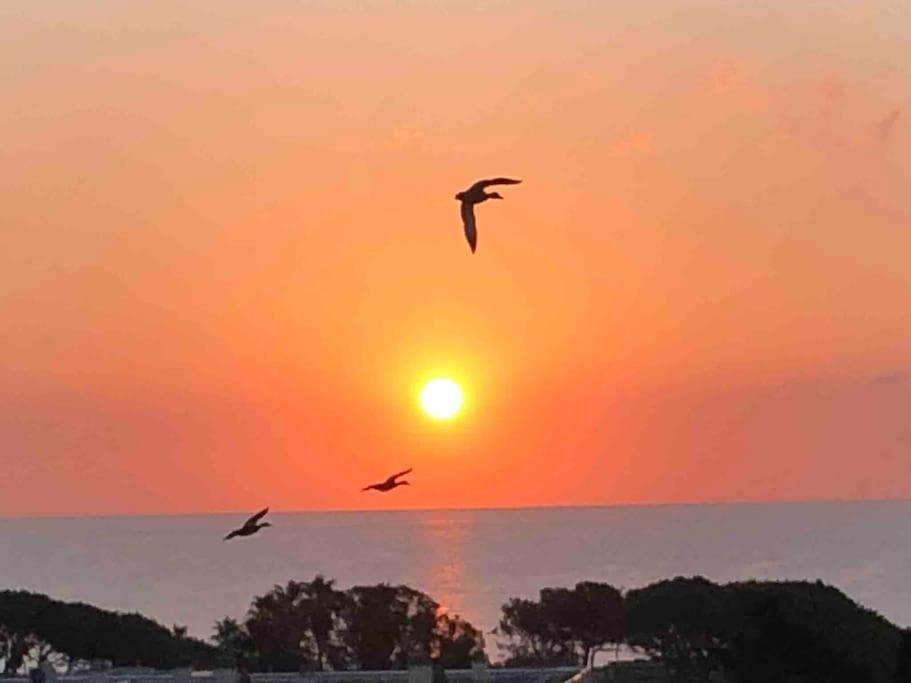 Appartement Vue Mer Au Lavandou Le Lavandou Dış mekan fotoğraf