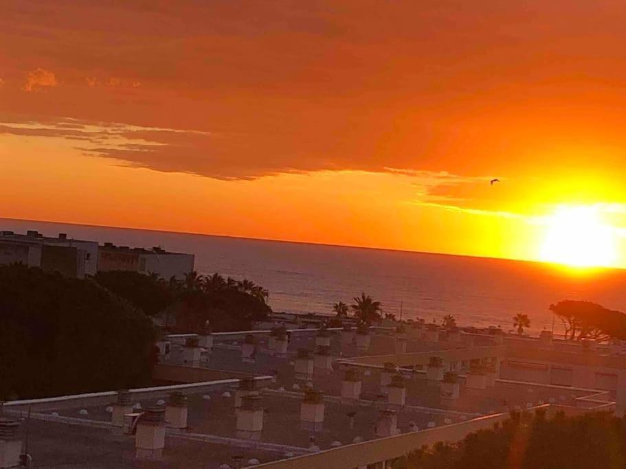 Appartement Vue Mer Au Lavandou Le Lavandou Dış mekan fotoğraf