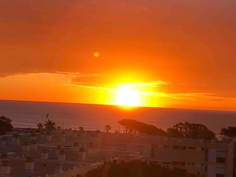 Appartement Vue Mer Au Lavandou Le Lavandou Dış mekan fotoğraf
