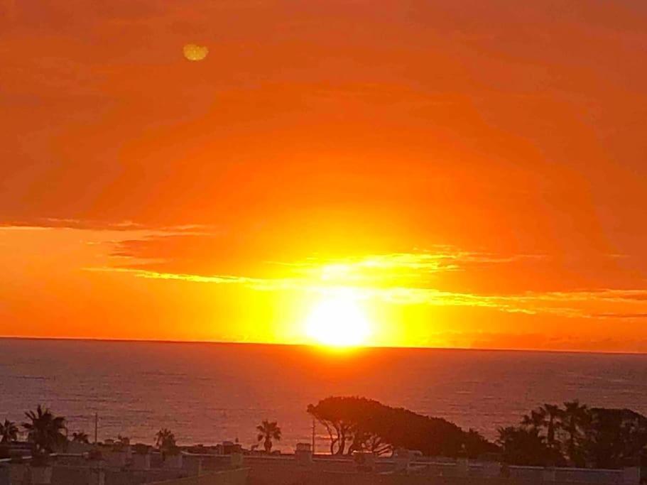 Appartement Vue Mer Au Lavandou Le Lavandou Dış mekan fotoğraf