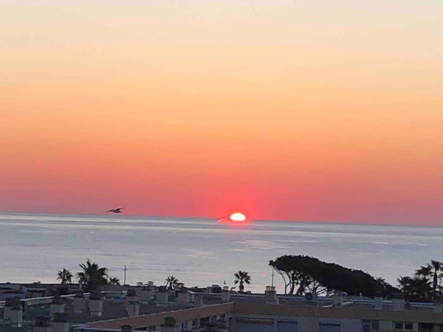 Appartement Vue Mer Au Lavandou Le Lavandou Dış mekan fotoğraf